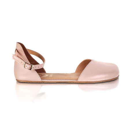 Poppy (širši) - Rose